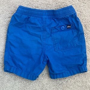Boys Tea Collection Everyday Shorts